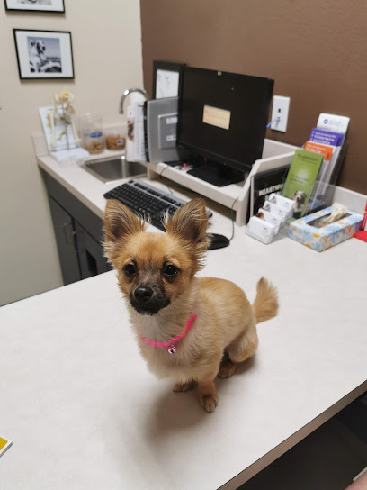 VCA Ben White Animal Hospital