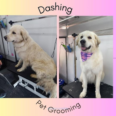 Dashing Pet Grooming