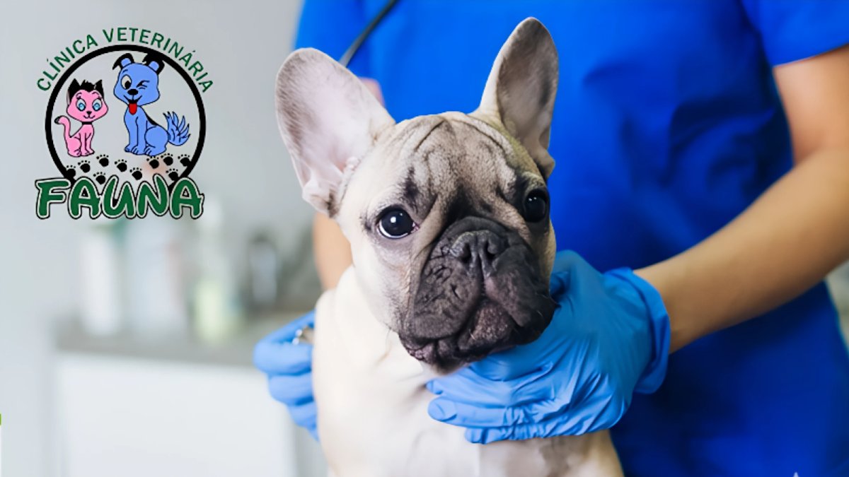Clínica Veterinária Fauna Ltda