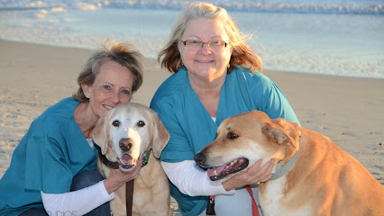 Ruff Rubs Canine Massage Therapy