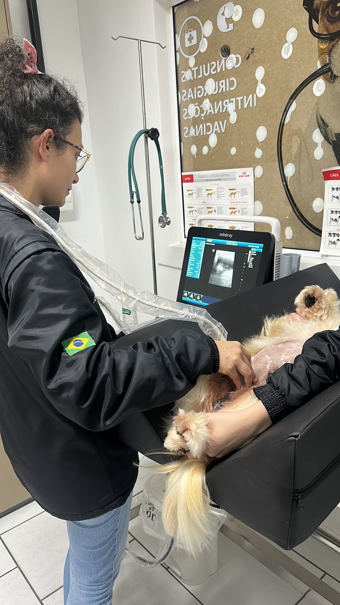 Della Vet Clinica Veterinária e Pet Shop