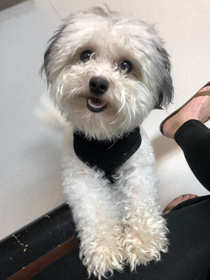 Monument Road Animal Hospital