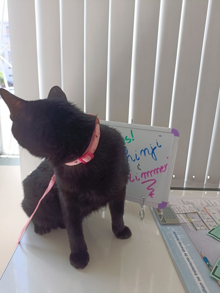 San Francisco clinic