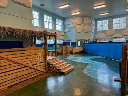 Coastal Doggie Daycare