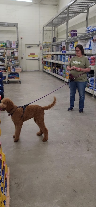 PetSmart Dog Training