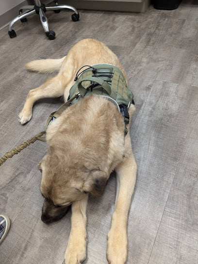 Chimney Lakes Animal Hospital