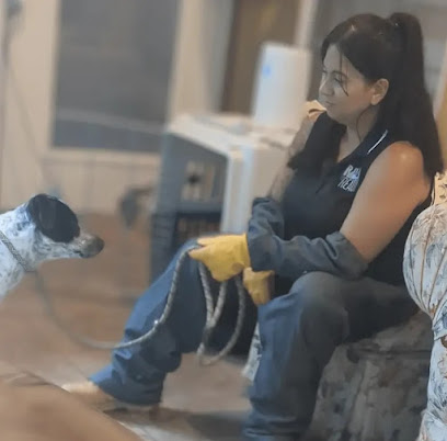 Ruff to Ready Dog Behavior