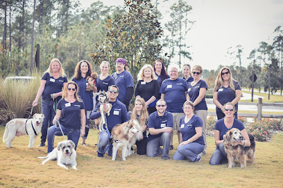 Dog Days & Cat Naps Pet Sitting & Dog Walking