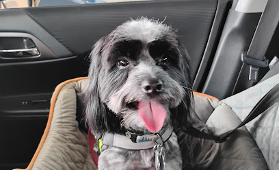 The Bark Side Canine Training LLC