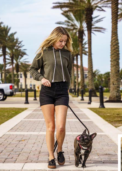 LuckySevenK9 Dog Training