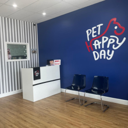 Pet Happy Day