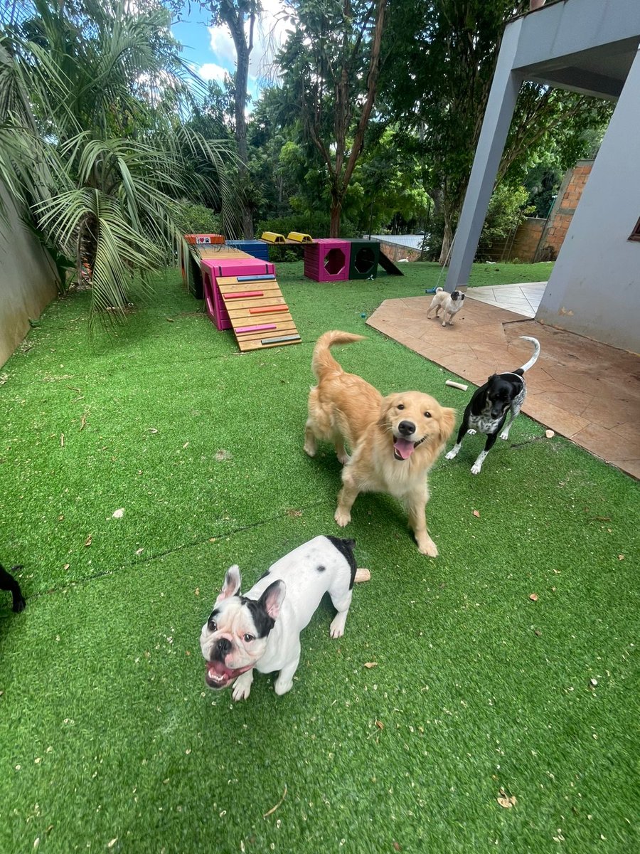 Aconchego da Bicharada