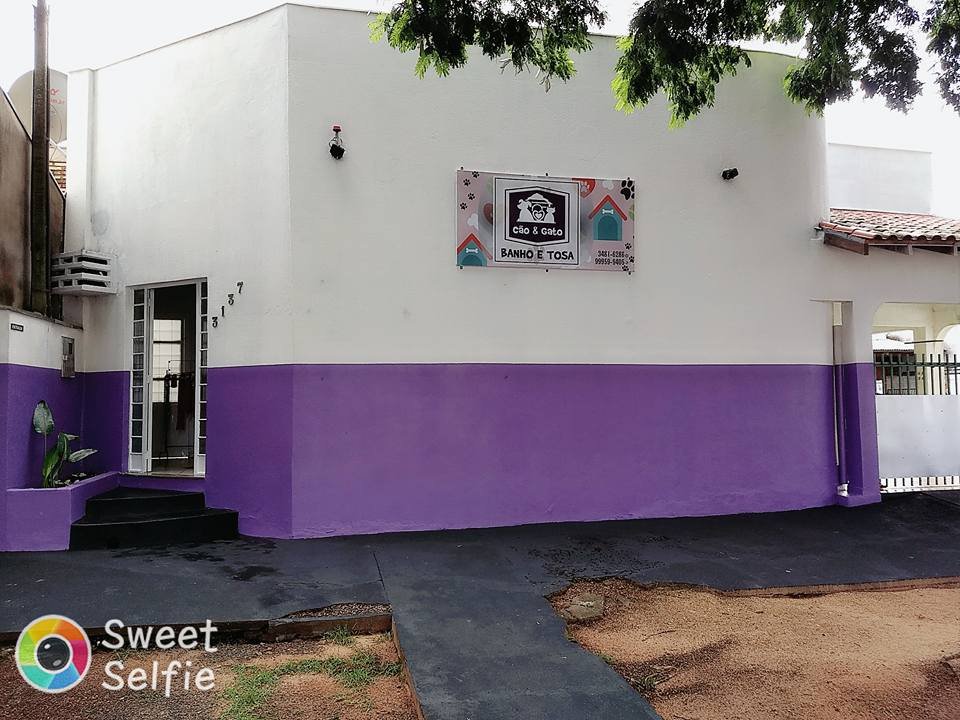 Pet Shop Cão e Gato