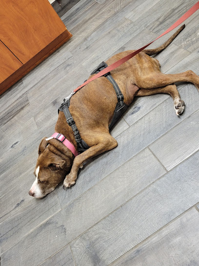 Orange Park Animal CLINIC at Oakleaf