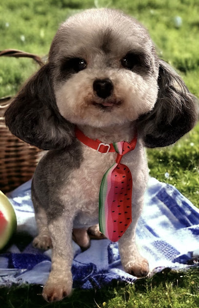 Christy's Canine Cuties