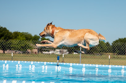 Wisteria Dog Training