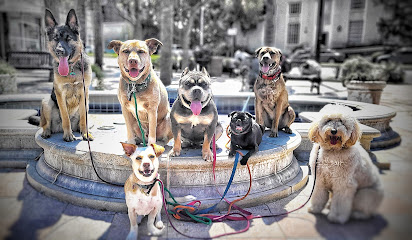 No Bones About It Pet Care