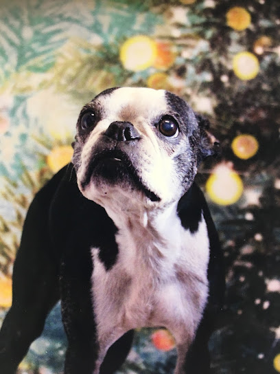 Harris Parkway Animal Hospital