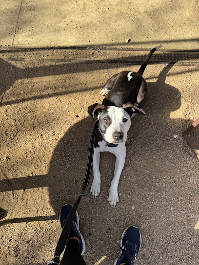 Night and Day K9 Training