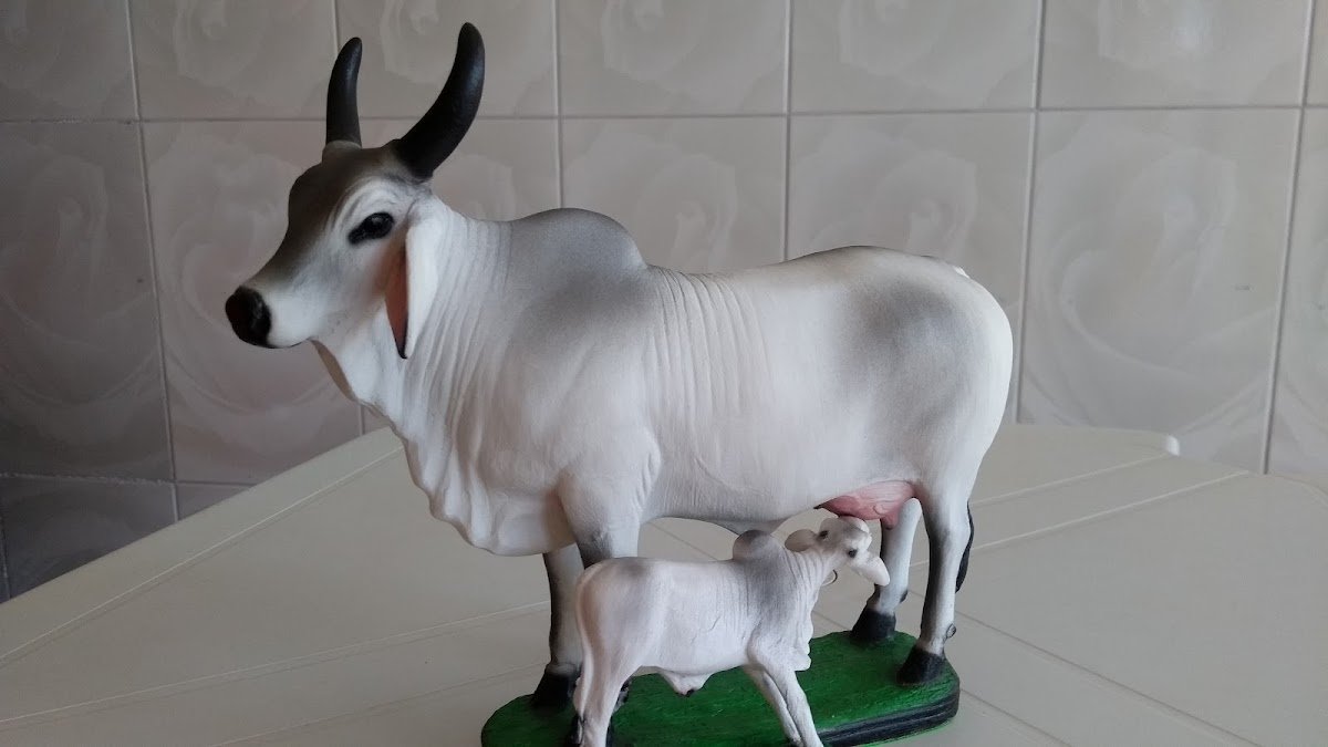 NUTRISAMAL - Nutrimentos Santa Maria LTDA