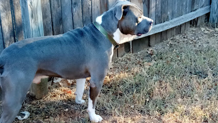 Grand Paws Doggie Care