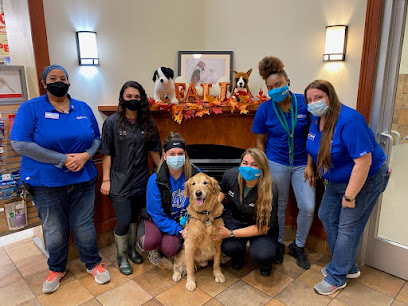 PetSmart Doggie Day Camp