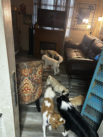 Rub My Belly Dog Care