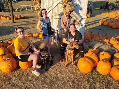 Furever Pawsitive Change