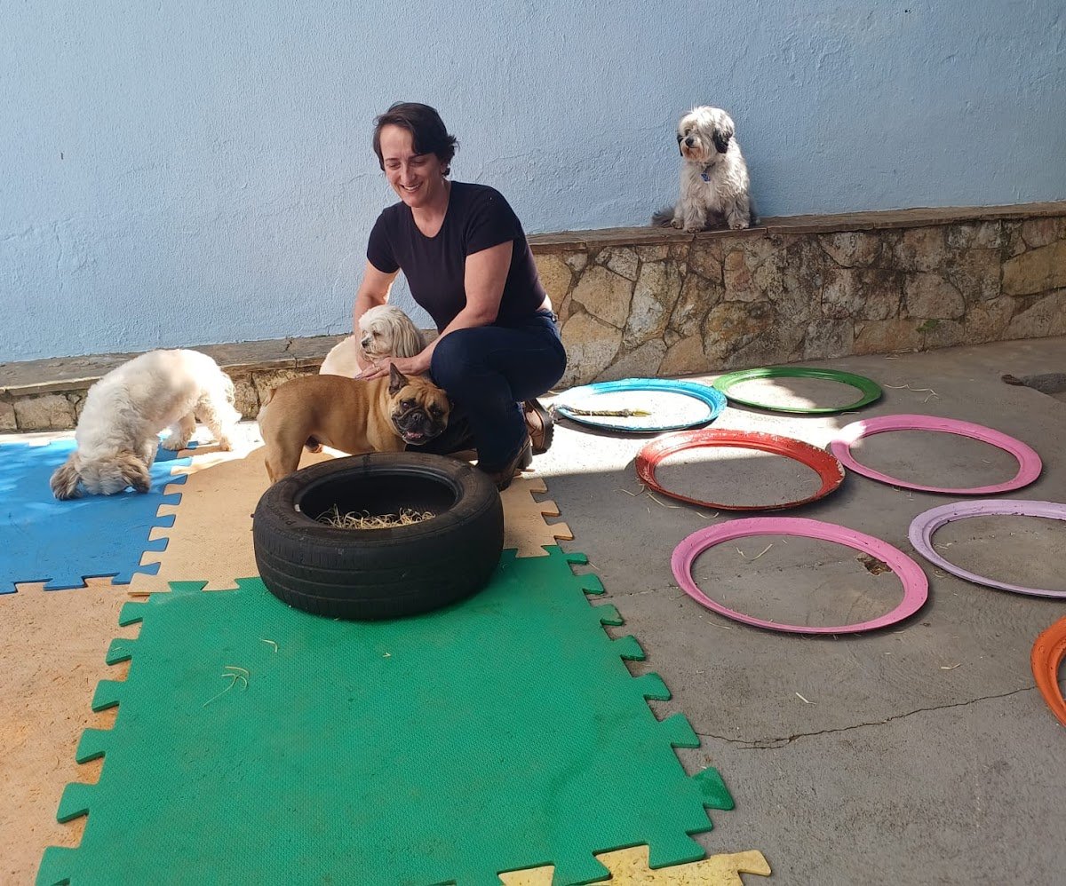 Pet House Casas p/ Crianças, Cães e Playgrounds