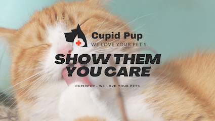 Cupid Pup