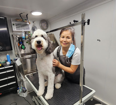 PetGrooming2u - Mobile Pet Groomer Ft. Worth, Tx
