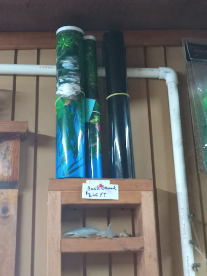 Outback Fish & Things