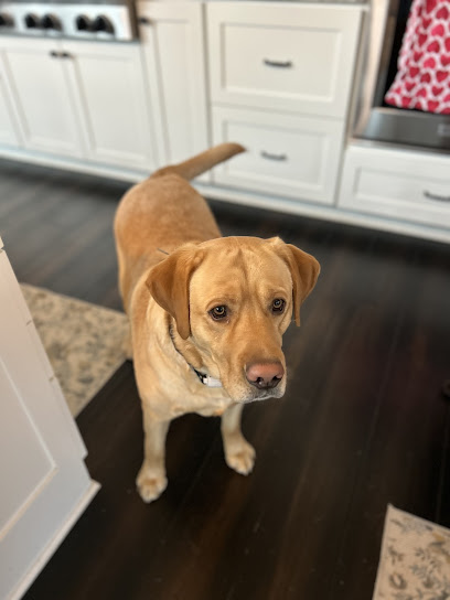 Pampered Pets and More, LLC