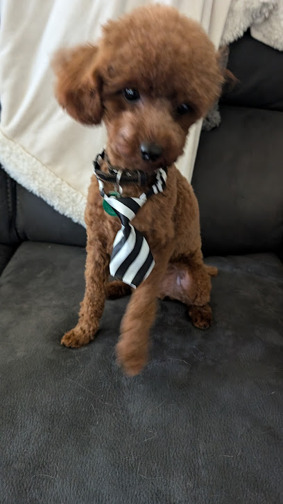 Wendy's Pampered Pets