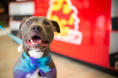 The Dog Stop - Franklinton