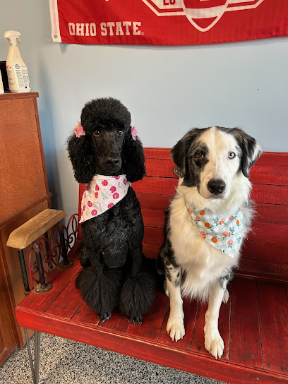 TLC Grooming Clintonville