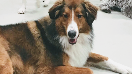 Puptown Lounge North Columbus