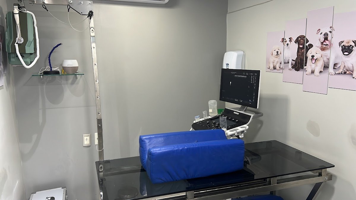 Clínica Veterinária Bem Estar