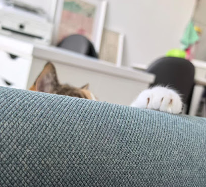 Paws & Purrs Cattery