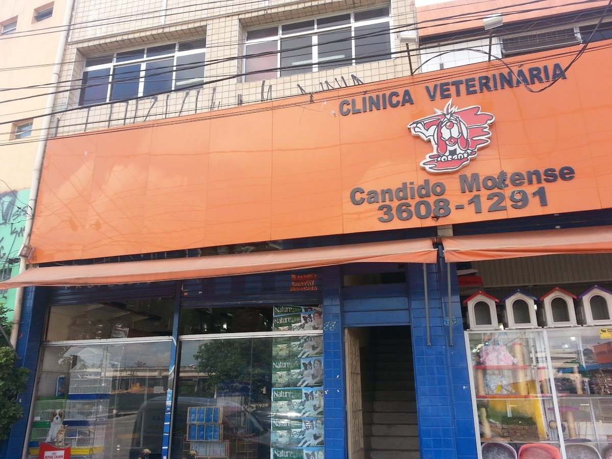 Pet Shop Candido's Motense