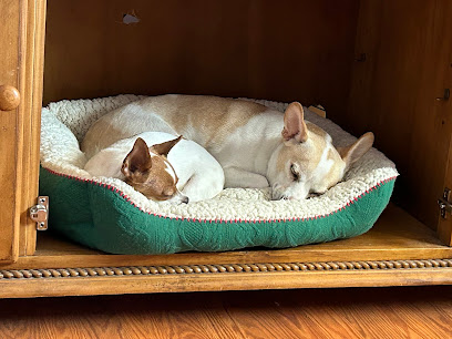 Mutts on the Move Pet Care