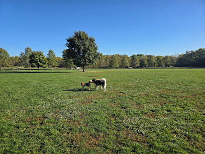 Three Creeks Park Dog Park