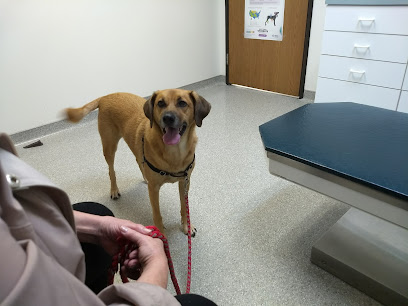 Oak Creek Veterinary Hospital