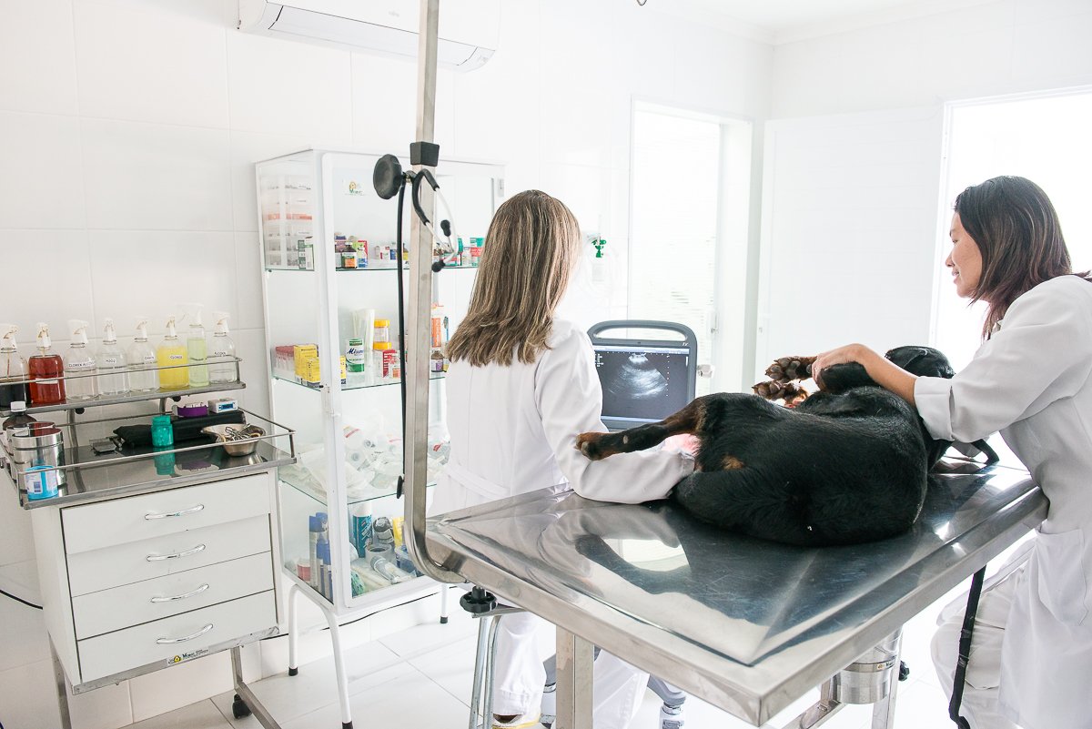 Centro Veterinário Capuava