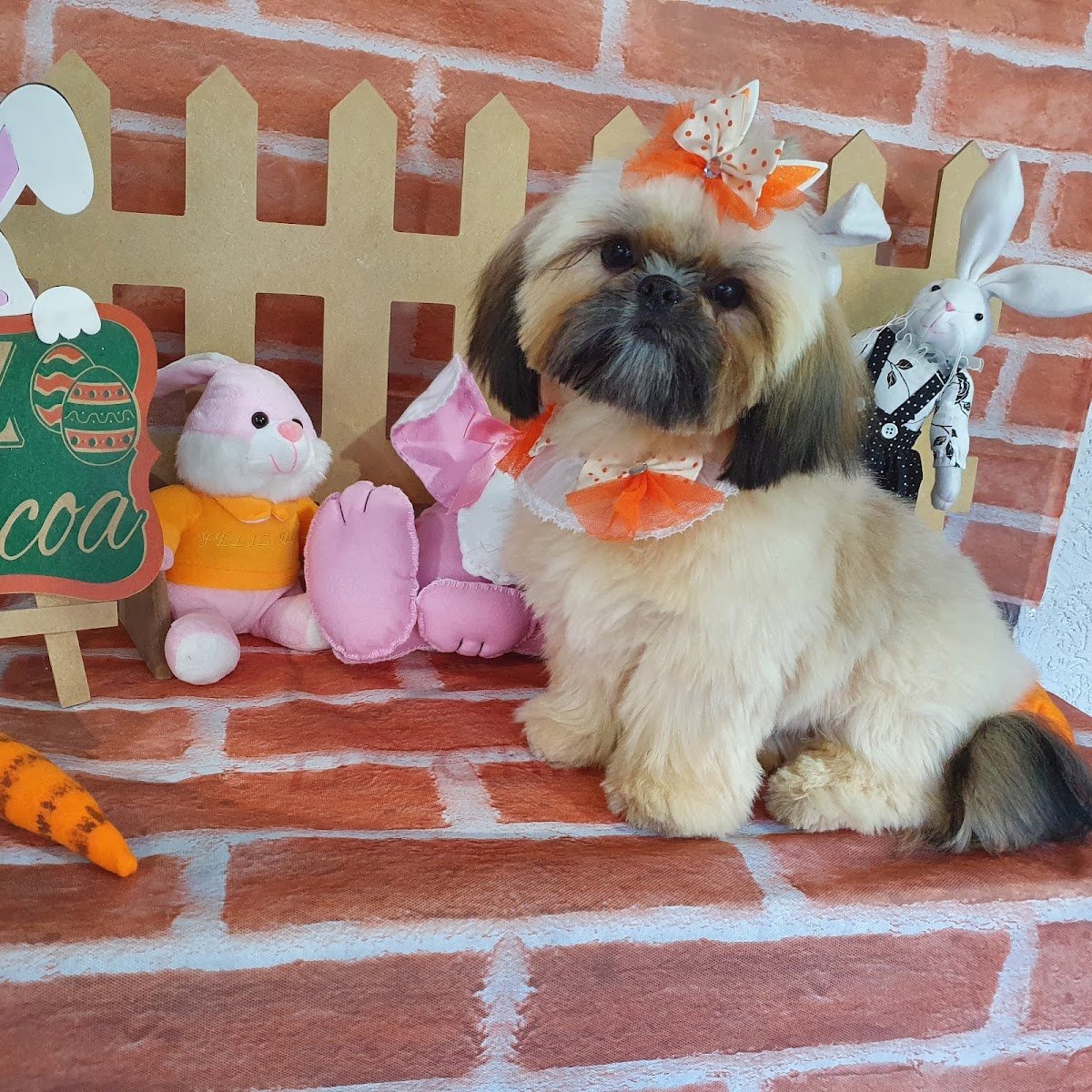 Clinica veterinaria e Pet shop dr. Christian