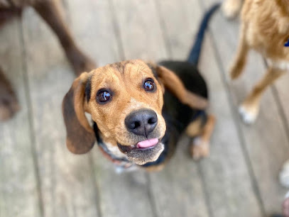 Heads or Tails Pet Care