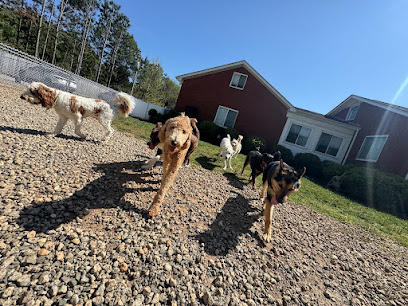 Hakuna Matata Dog Care & Training, LLC