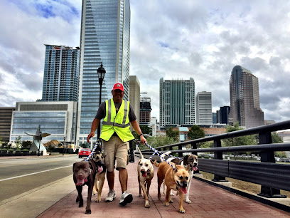 The Urban Pack Leader