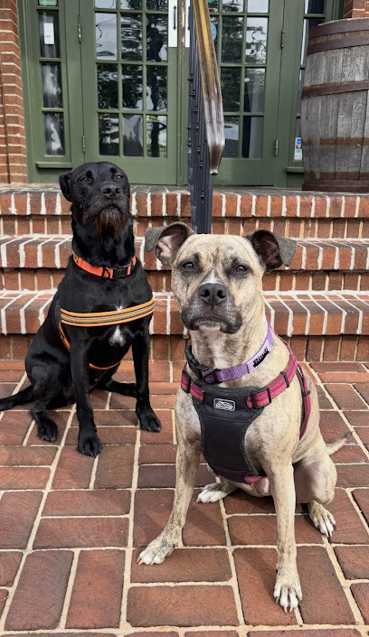 Charlene Ferrell White, DVM - HomewardVet Mobile Veterinary Services