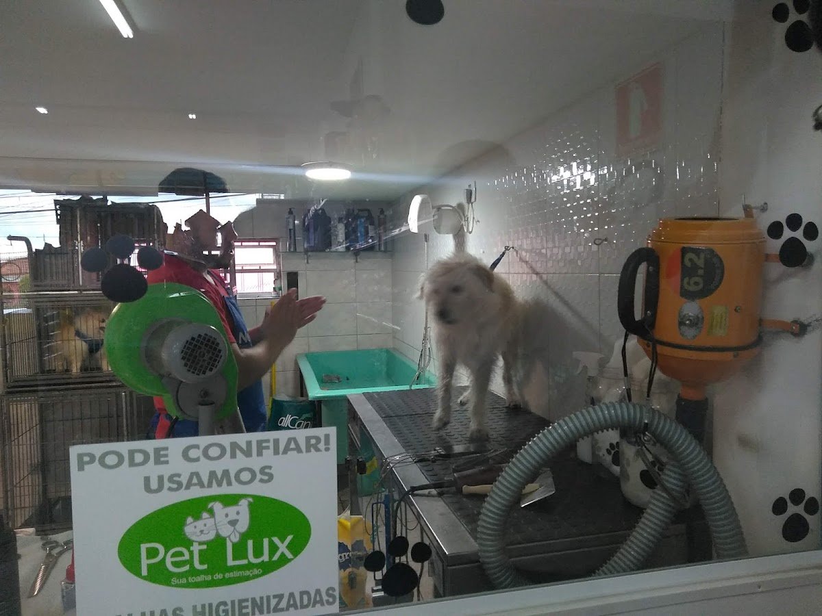 Centro Veterinário Popular